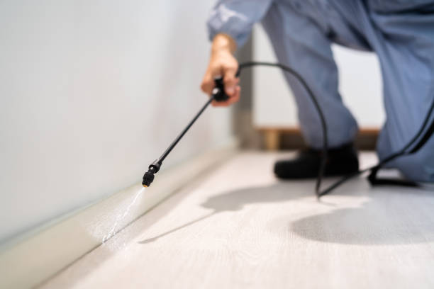 Licensed Pest Control service in Uhrichsville, OH - Show Me Pest Control